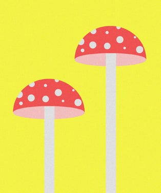 7Health_Hazards_opener