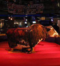 Mechanical Bull