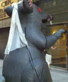 5 Things To Know This AM