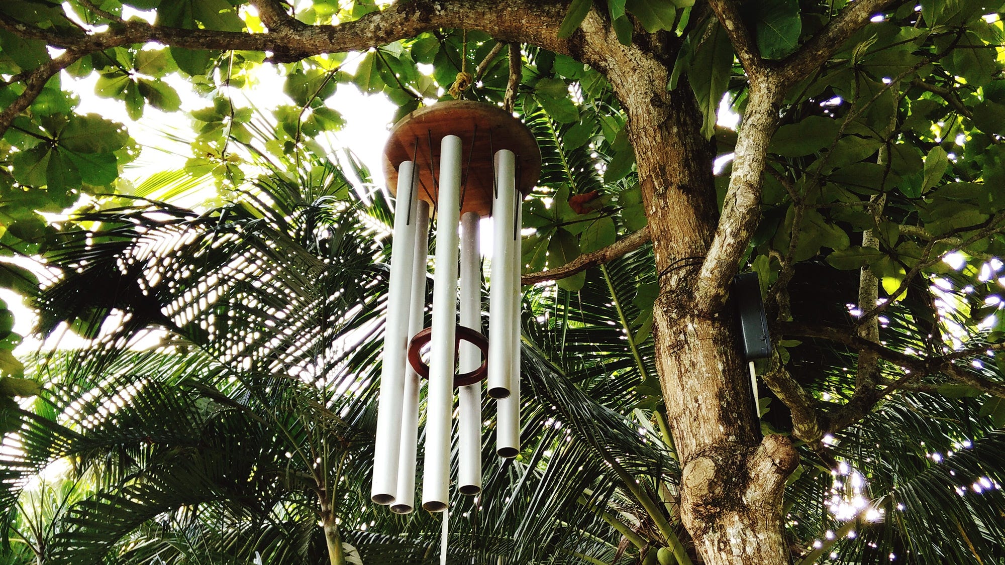 Girl Steals Wind Chime After Losing Her Mother