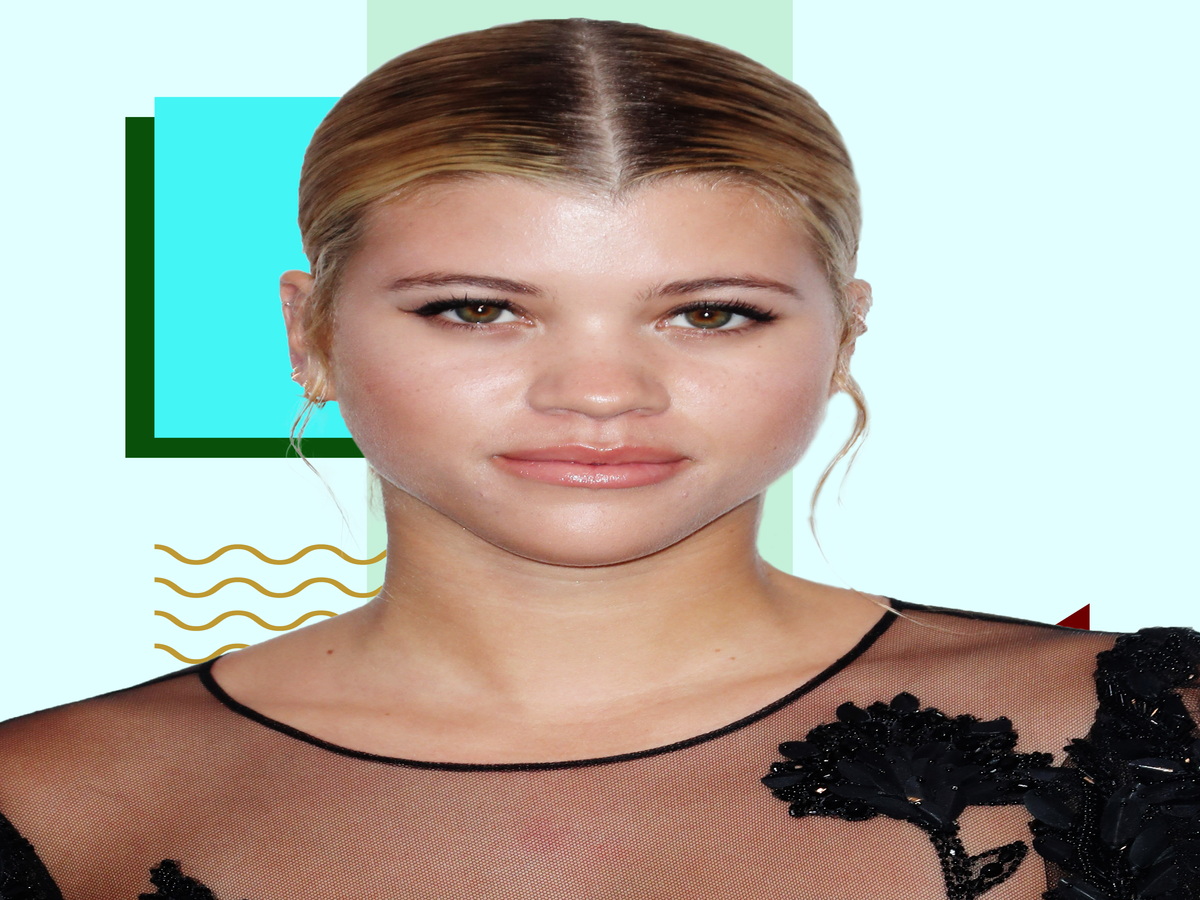 Could Everyone Accept That Sofia Richie Is Just Friends With Scott Disick?