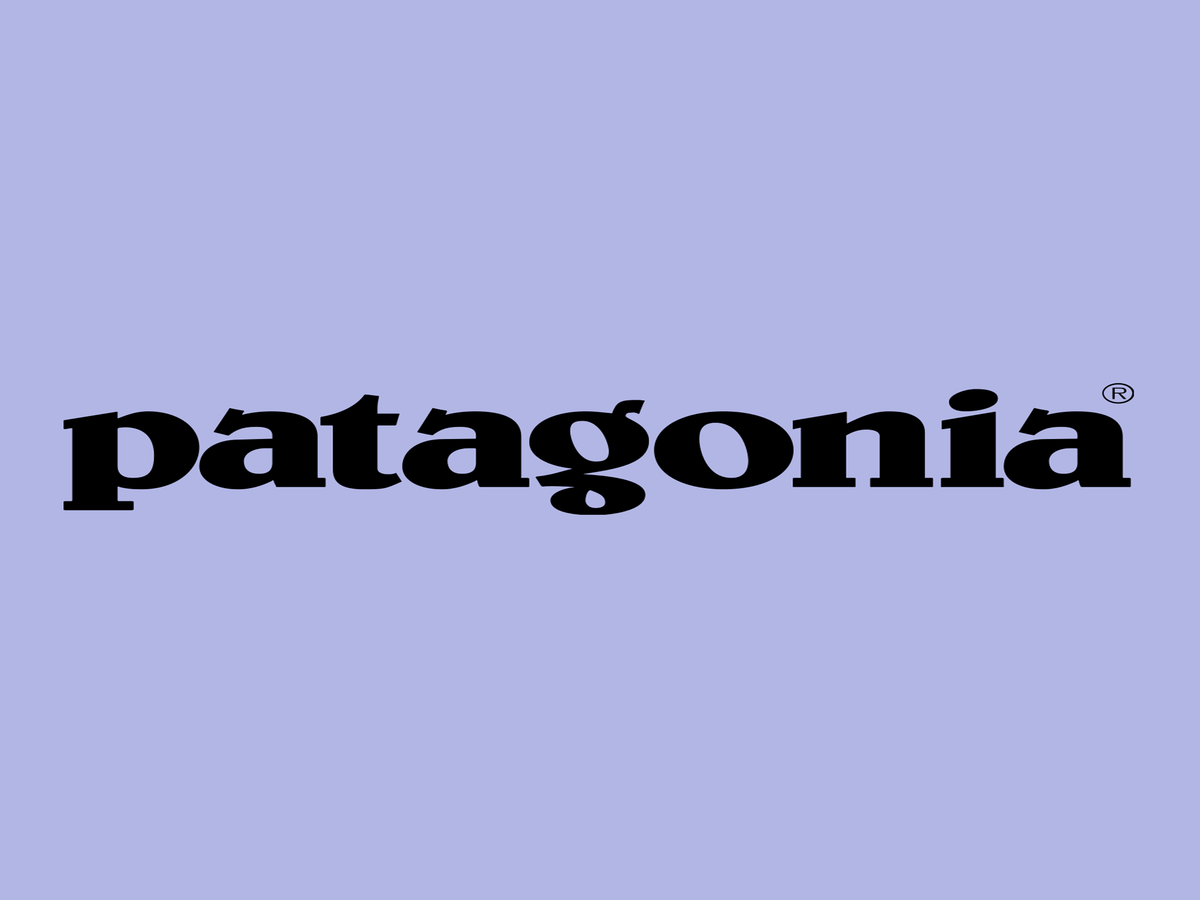 Patagonia Is Donating All Of Its Black Friday Profits To Save The Planet