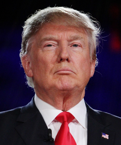 EmbedTrump