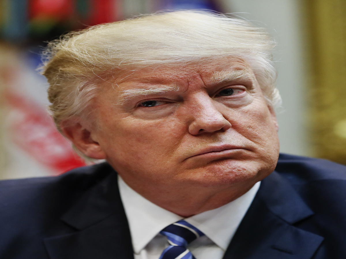 Trump's Lawyers Go After 17-Year-Old Girl Who Runs Cat Website