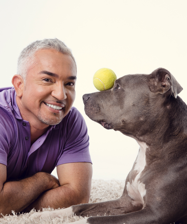 Anxiety At Night, Cant Sleep Remedies To Calm Down