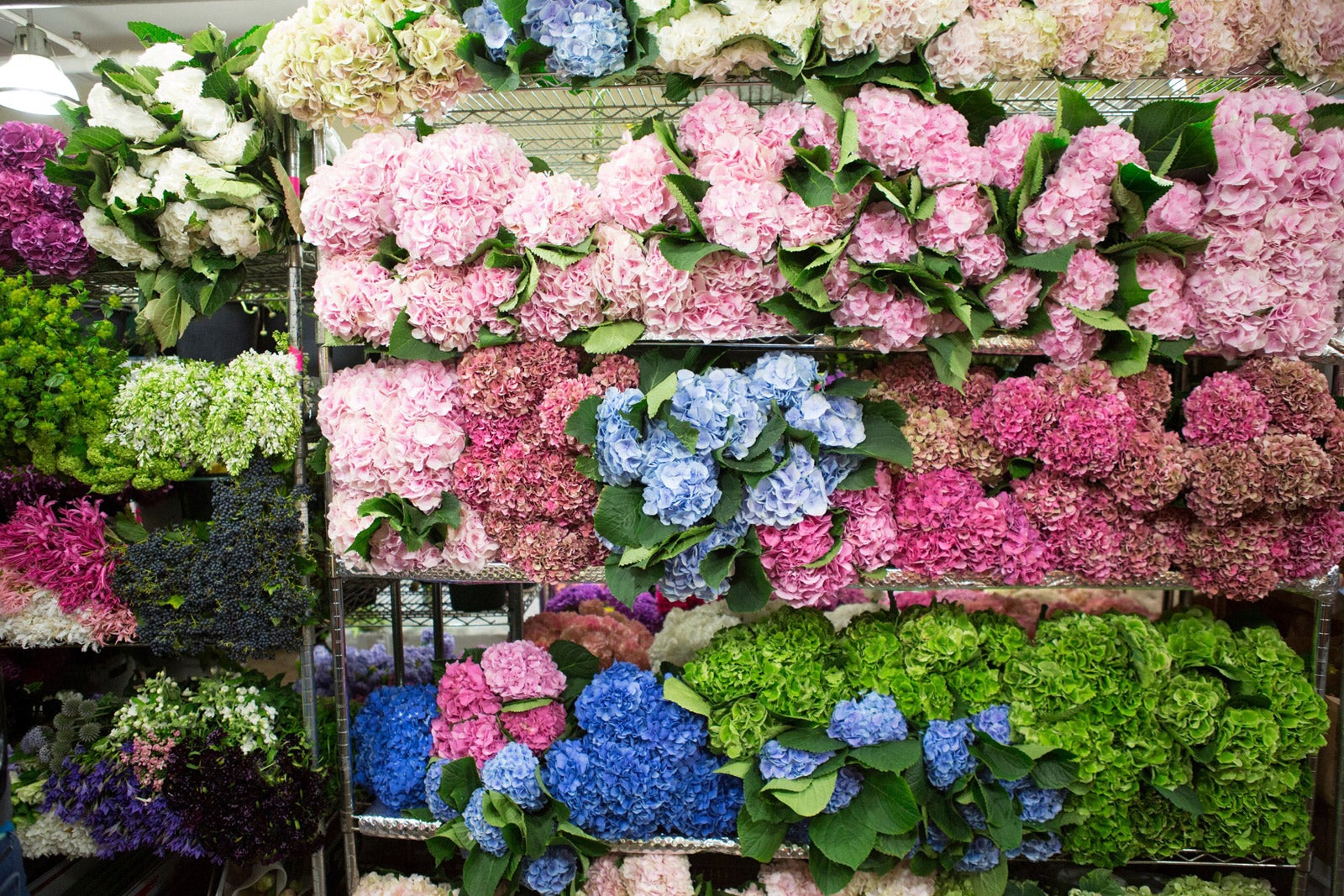 Floral Arrangements NYC Flowers