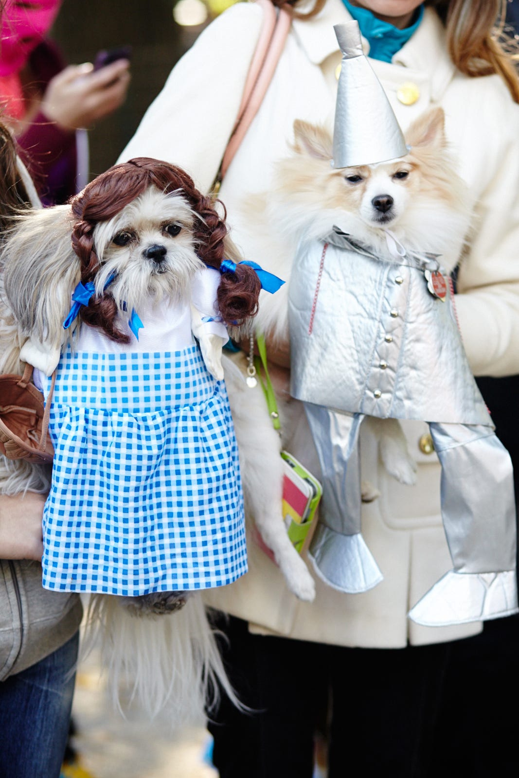 Dog Halloween Costumes Pet Holiday Ideas Dog Halloween Costumes Pet Holiday Ideas