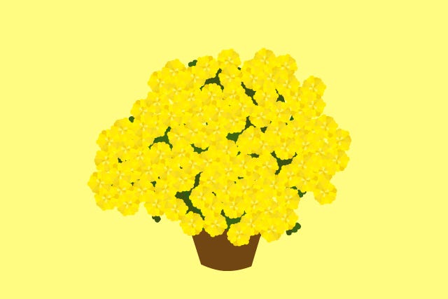 PlantsToKill_slide-01