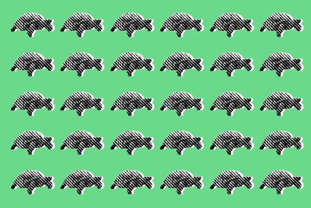 Tortoise_Hare_1