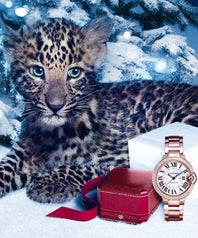 cartier-op