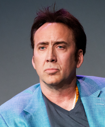 ASSET - The Official Miniature Donkey Magazine