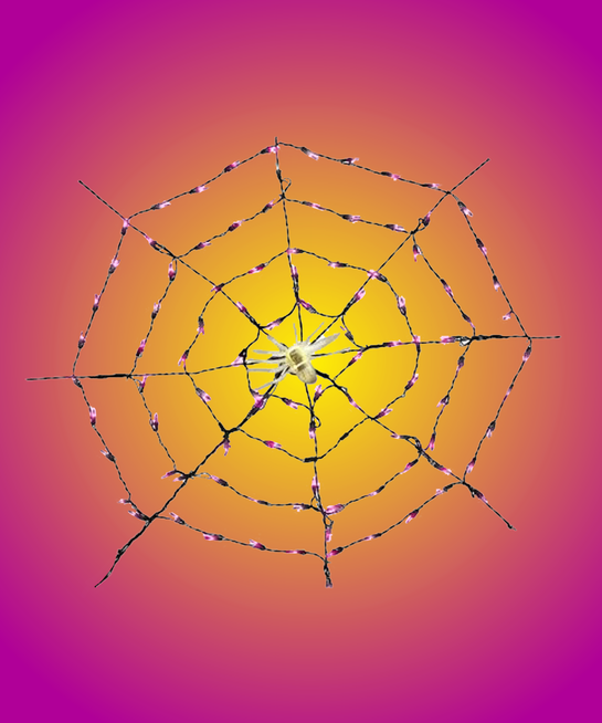 Best Halloween Lights Halloween Light Decorations