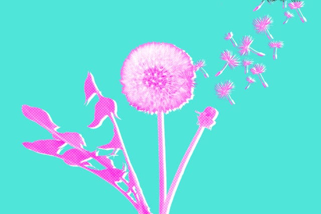 Allergies_LyNgo