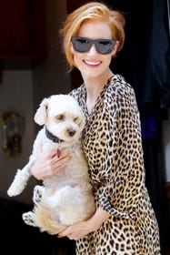 Celebrity Dogs — The Pets Of Hollywood Stars