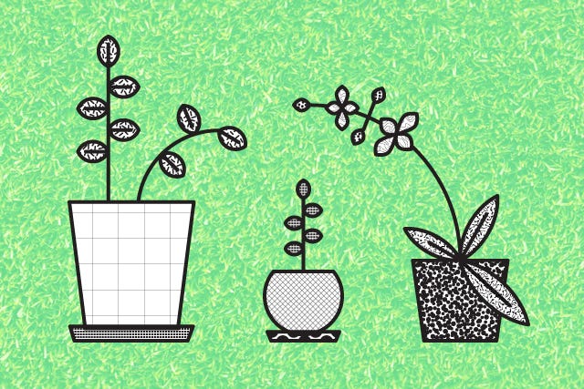 Gardening_2