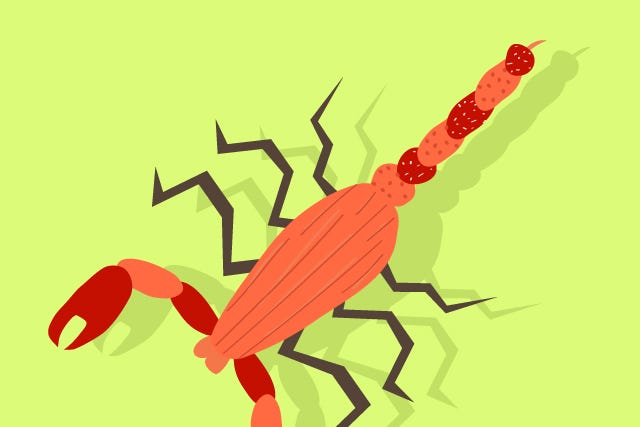 Bug_slide-04