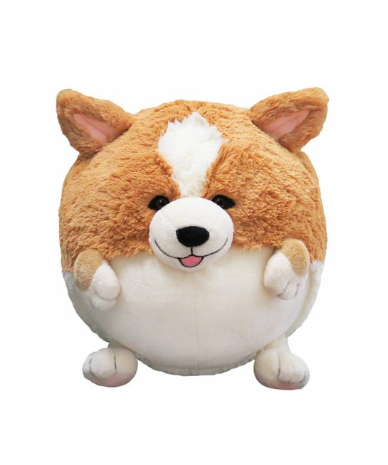 Amazon Addiction Best Things To Buy On Amazon