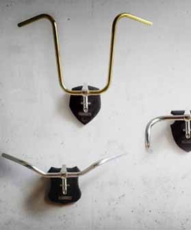 Bicycle Taxidermy 280 335