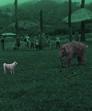 qdTjhoAG45jqE8vd_KPqV7vYj2568PfE93KA2HROl2k