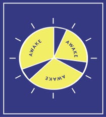 Polyphasic_Sleep_opener_2