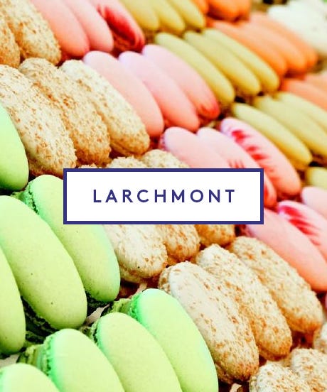 LarchmontGuide_Opener02