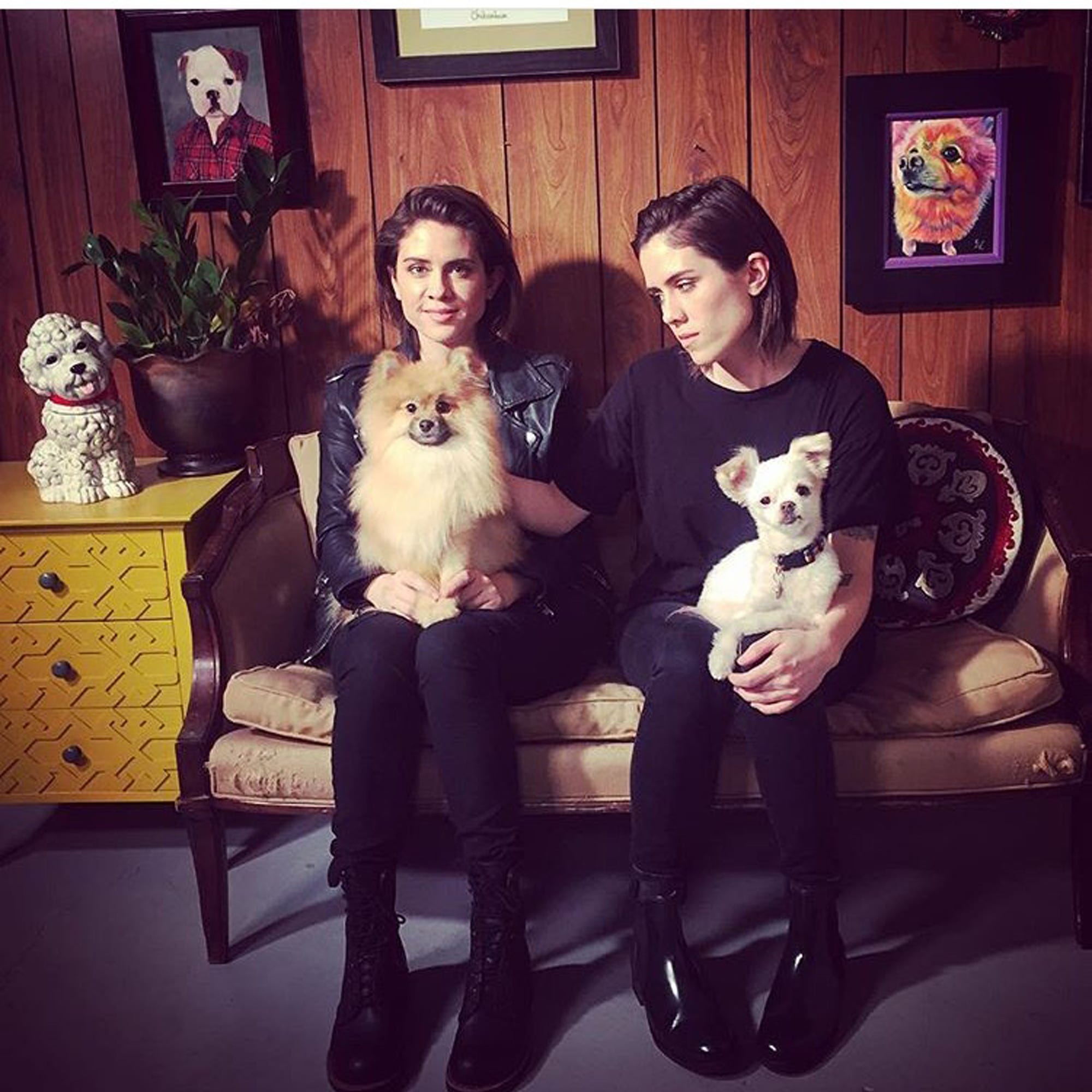Tegan And Sara Slow Motion Dog