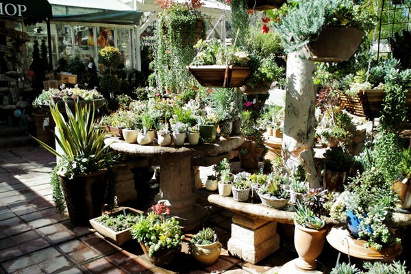 Best Nurseries In La