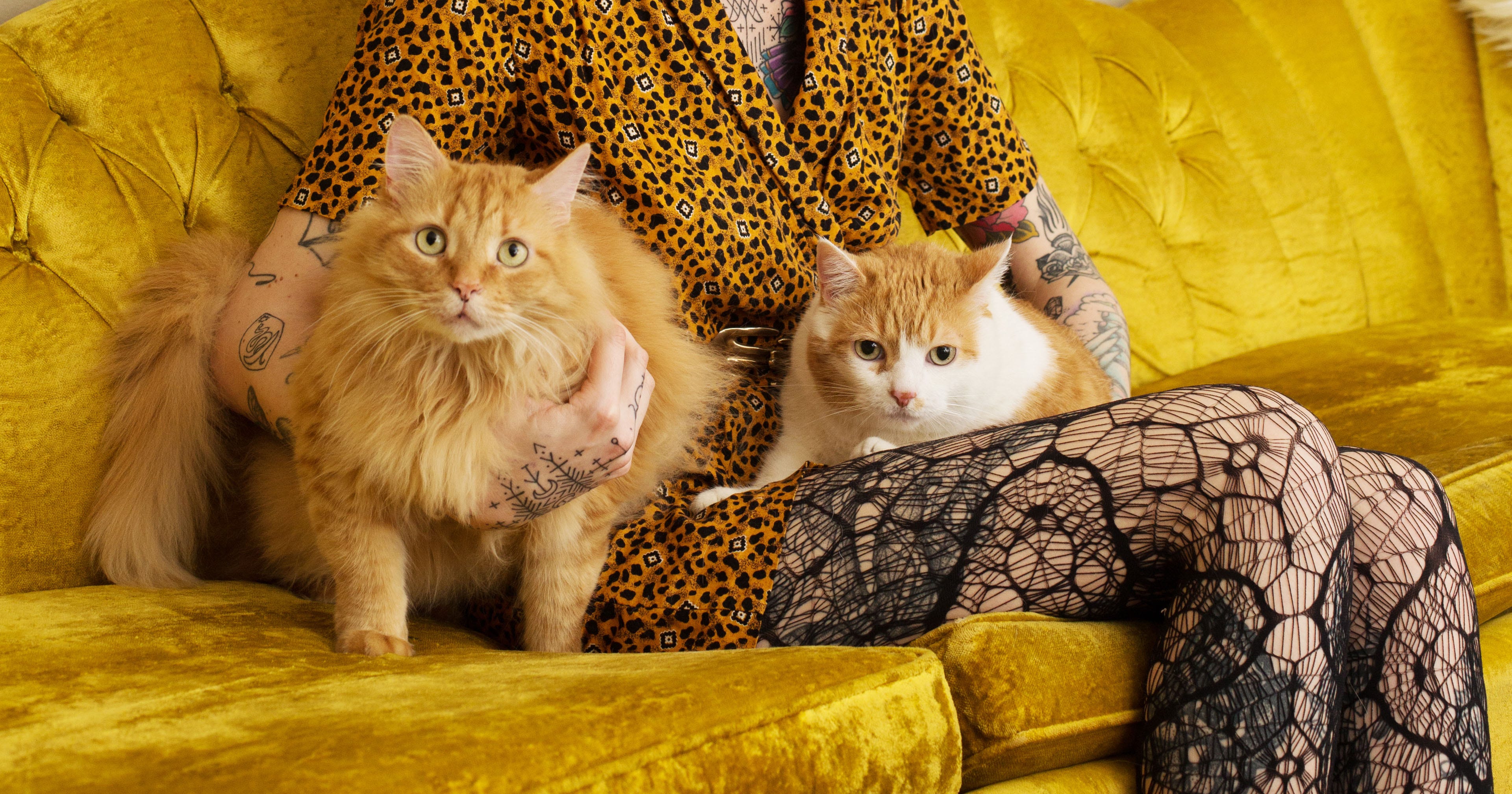 Just A Few Beautiful Photos Of Some Really Cool Cat Ladies