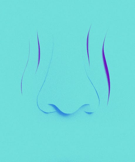 GrossBeauty_BodyOdor_opener_v1-2