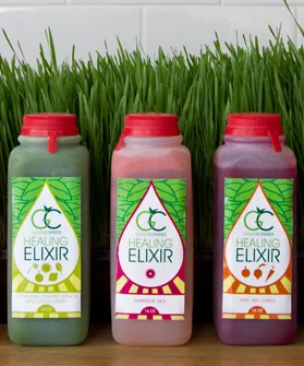 best juice bars and spots in chicago 2013 elixir juice bars
