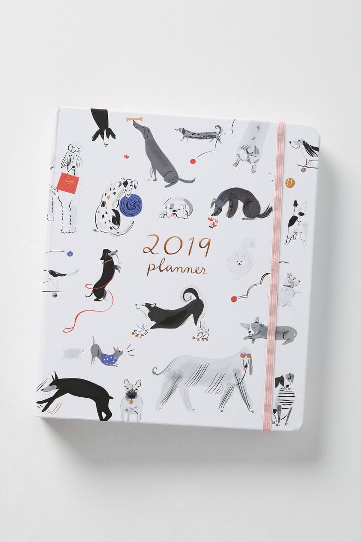 best planners for 2019 organization to meet your goals 12 month planner 2019