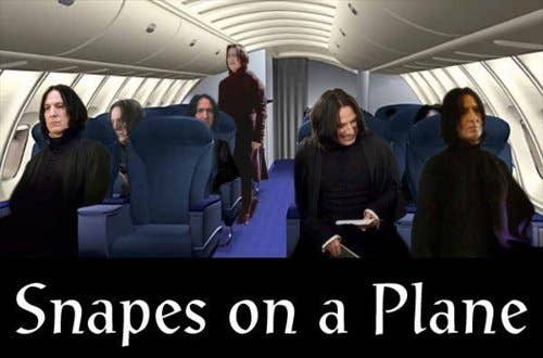 Best Snape Harry Potter Memes