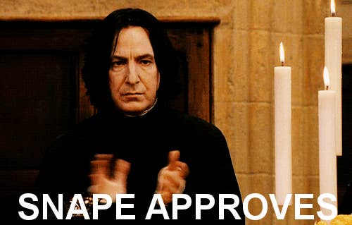 Best Snape Harry Potter Memes