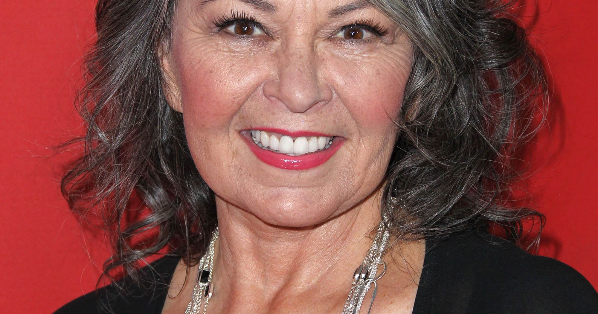 Roseanne Barr Documentary, Roseanne For President Ideas.
