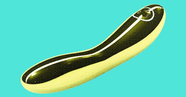 Kosher Sex Toys - Rabbi Sells Orthodox Jewish Vibrators