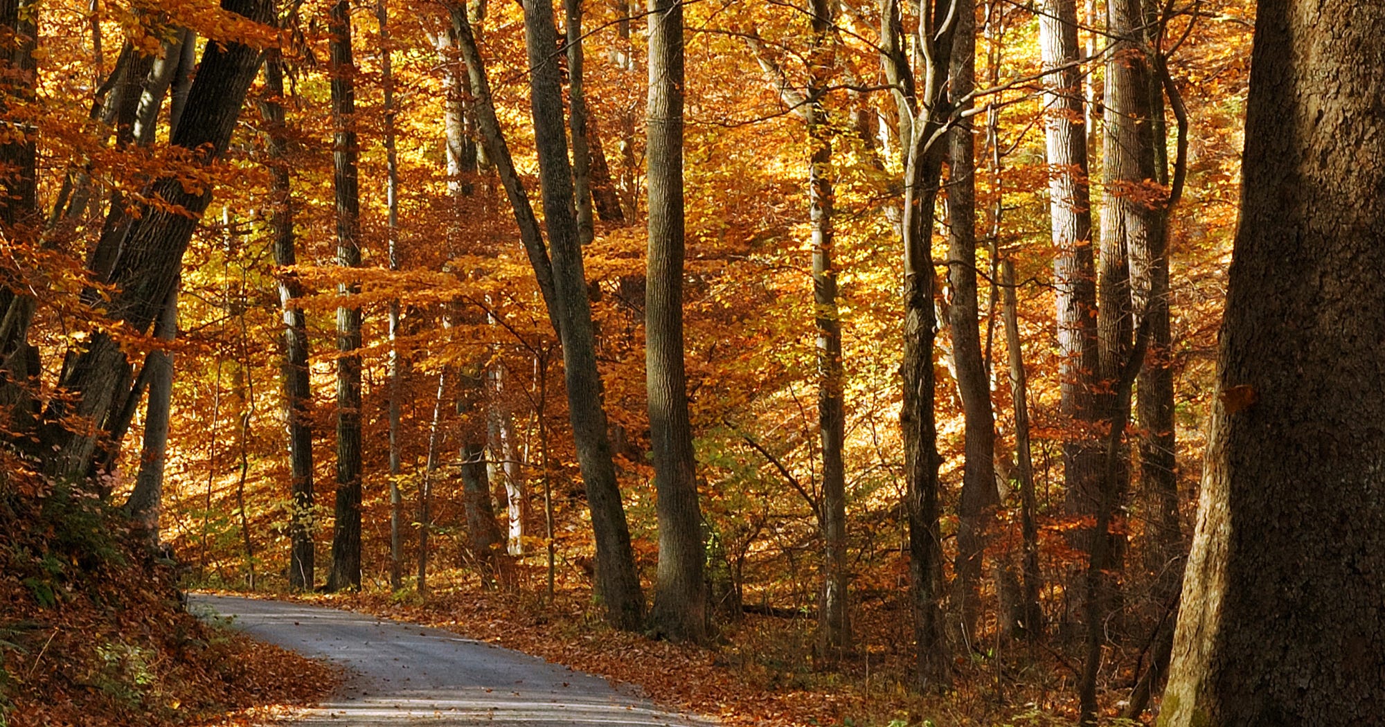 Best Places To See Fall Leaves Foliage Outside NYC Trip