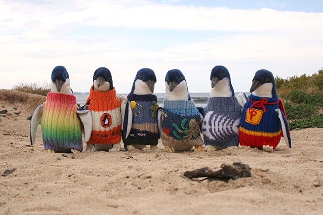 penguins_horizontal