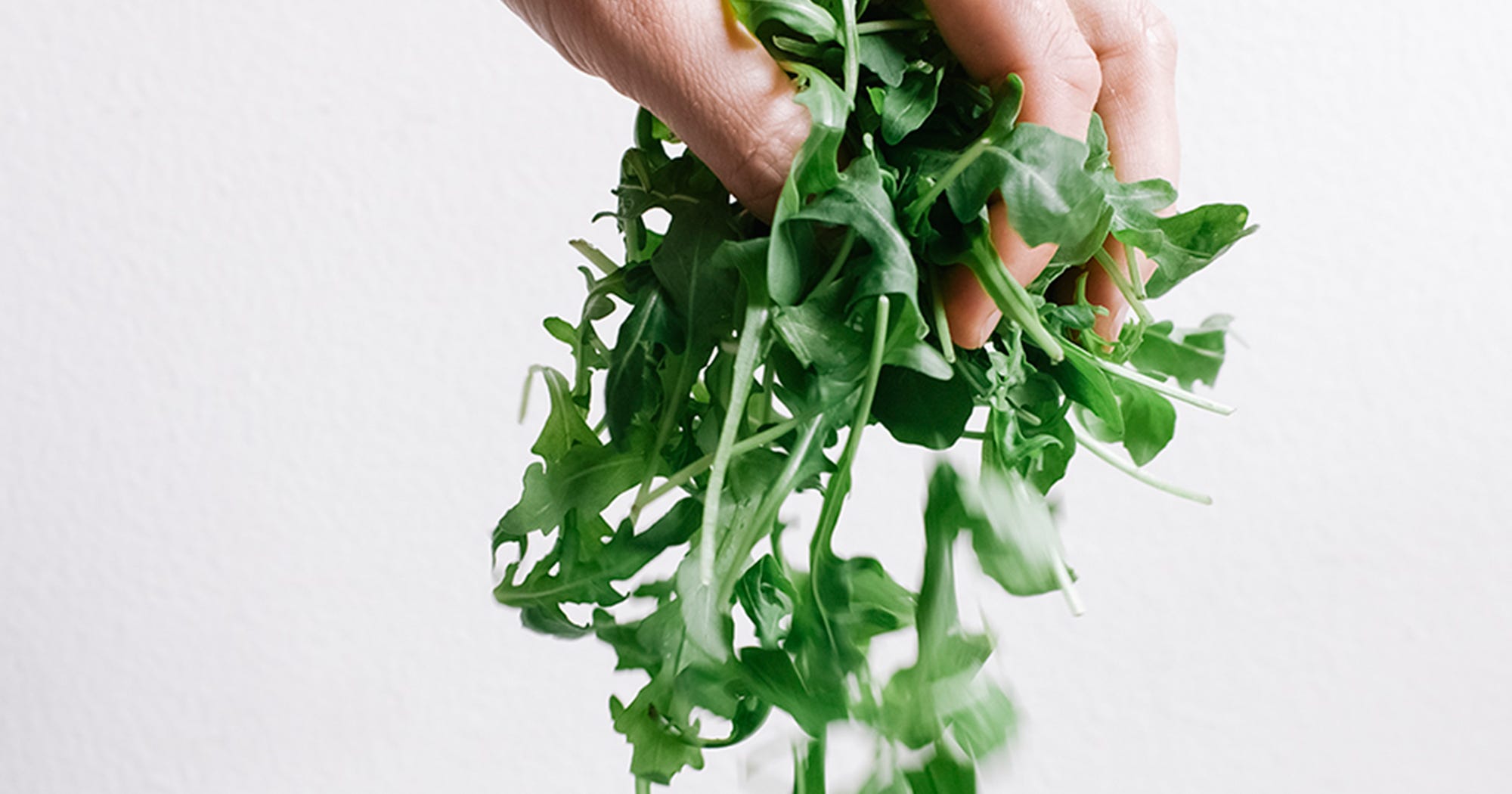 Pre Packed Salad Wash Bacteria