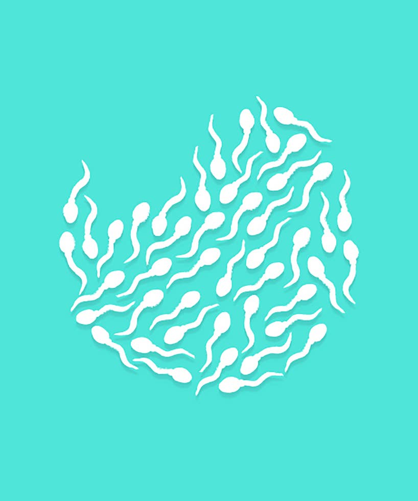 Helicobacter pylori Nahrungsdiät