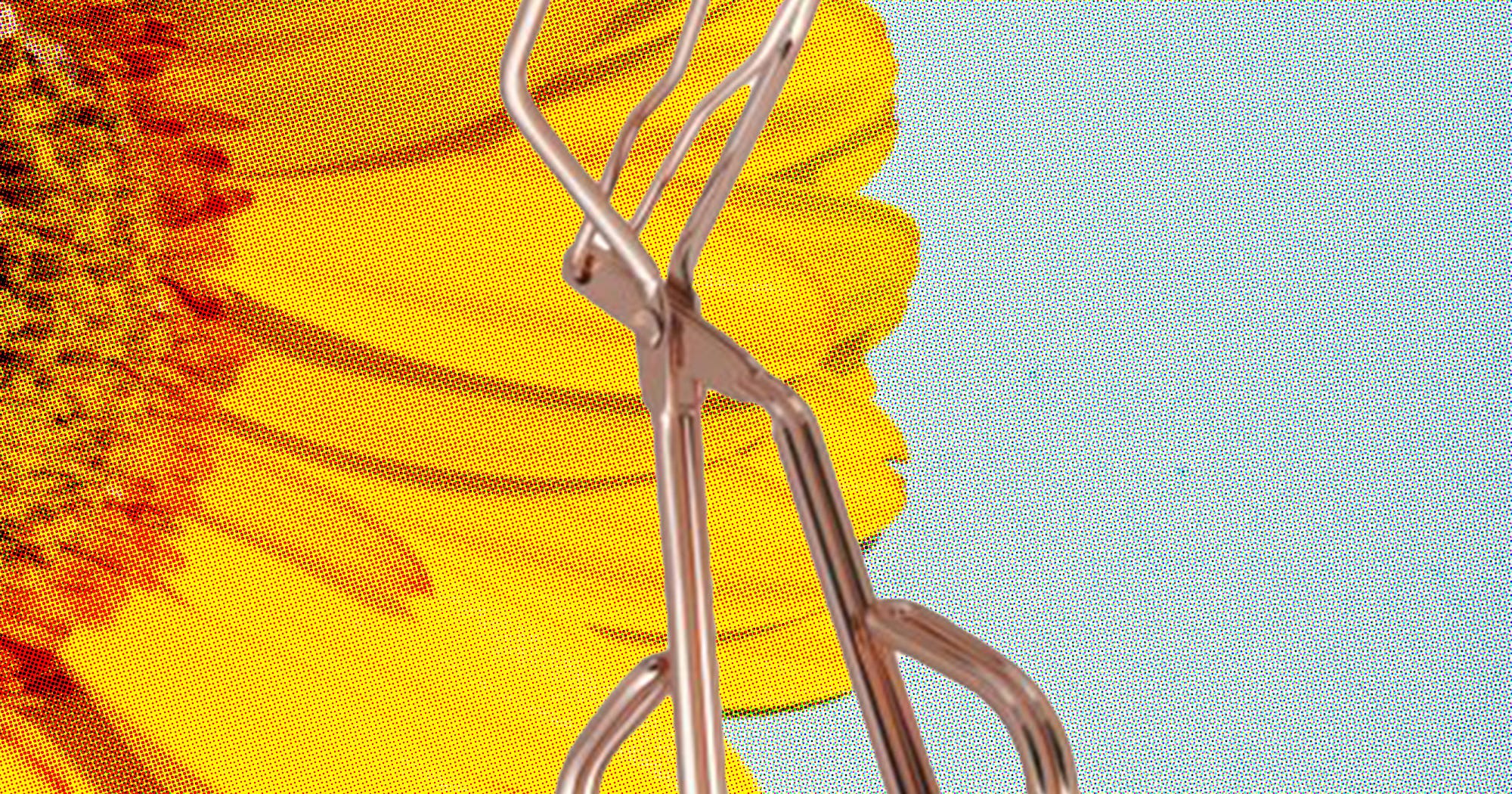 Best Eyelash Curlers 2022 According To Lash Experts
