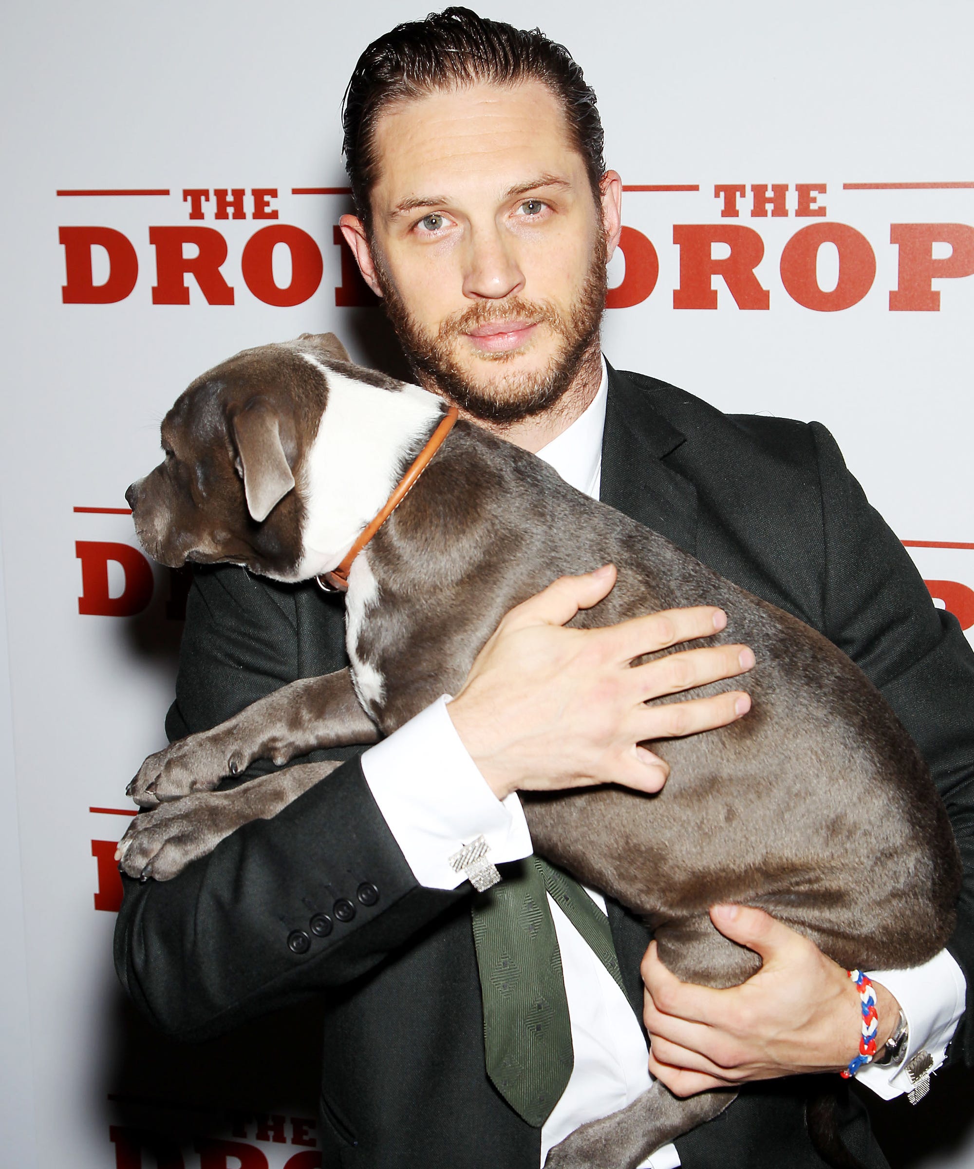 Tom Hardy Dog Chips Hardy Dad Taboo Show
