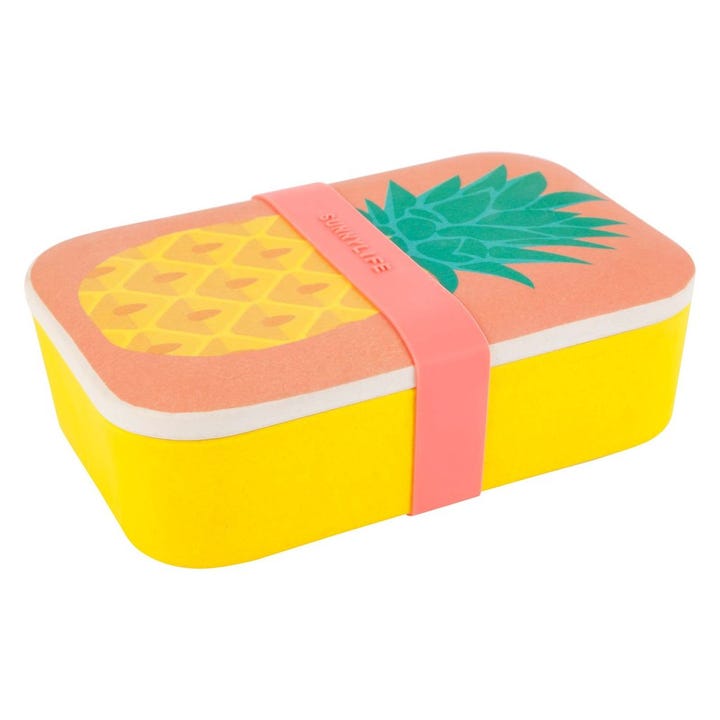 Adult Lunch Boxes - Cute Totes Bringing Food To Work