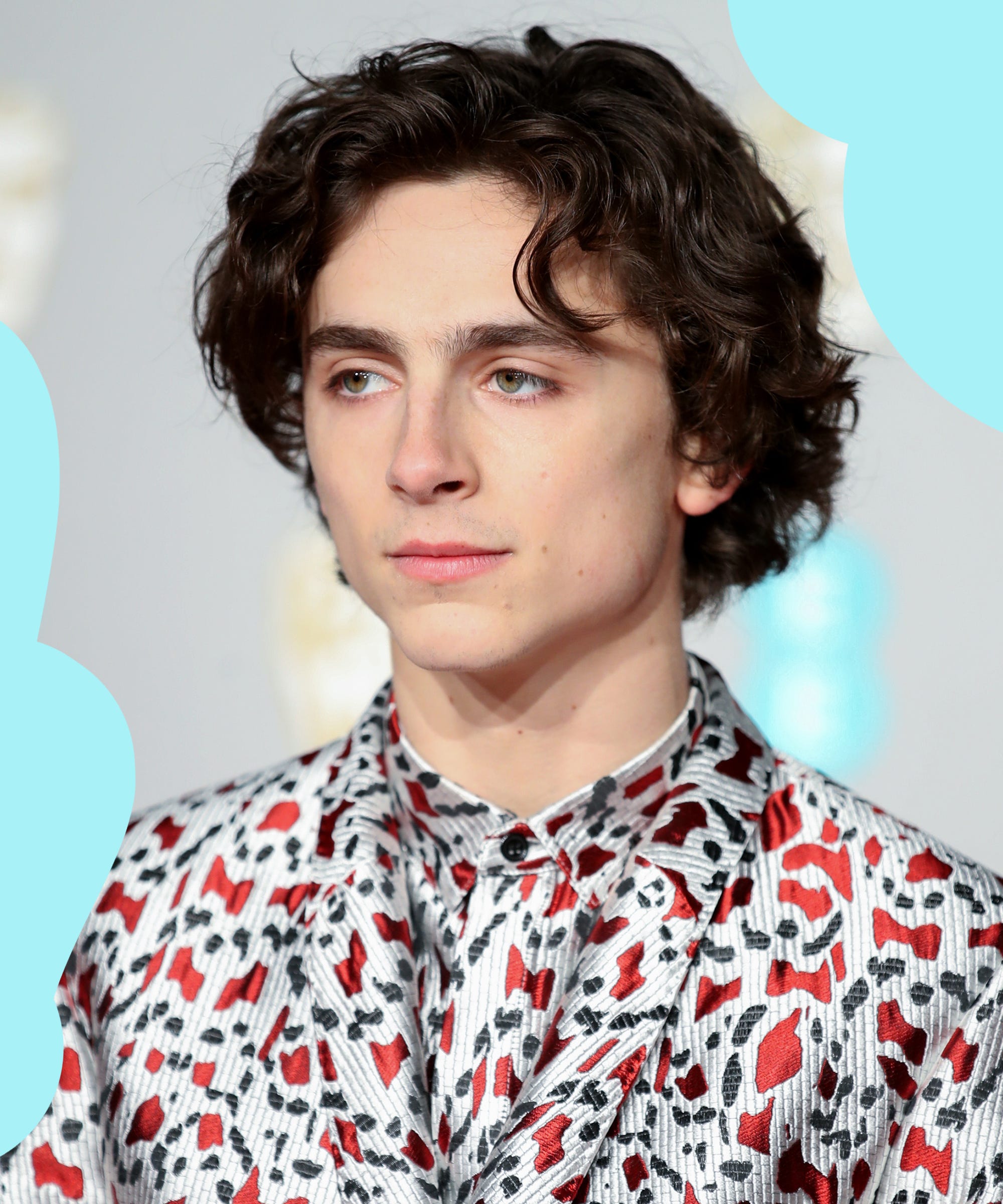 Timothee Chalamet Hair Tutorial (VERY REAL) 