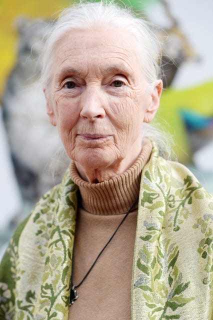 Famous Women Role Models For Womens History Month 2018