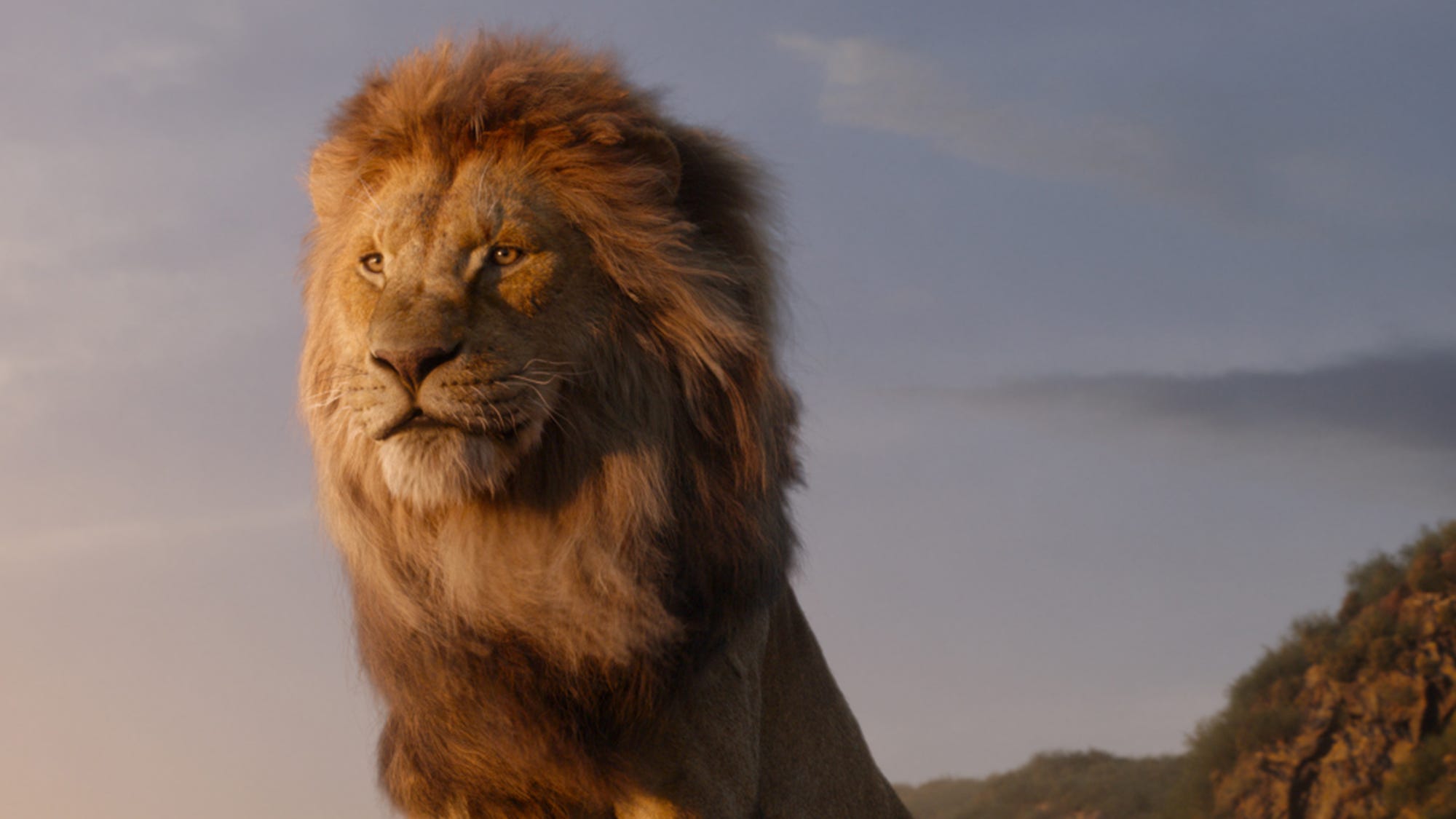 The New Lion King Will Probably Make You Cry Says Cast