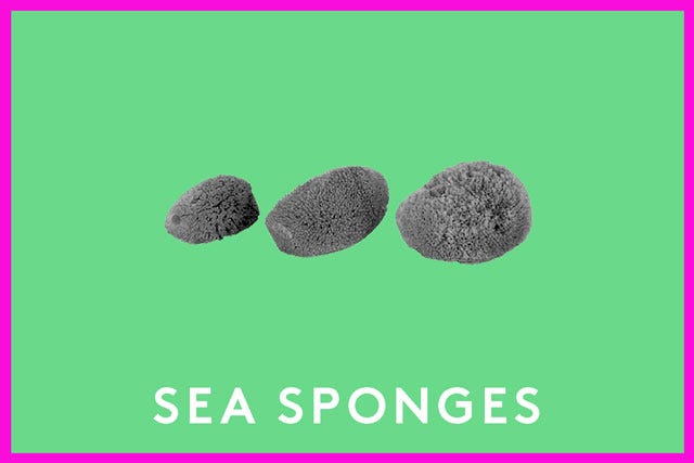 7ALTERNATIVES_SeaSponge