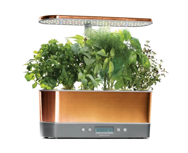 Best Indoor Garden Kits To Grow Herbs At Home Easy 2020 - Indoor Culinary Herb Garden Starter Kit Best Indoor Garden Kits To Grow Herbs At Home Easy 2020 - Indoor Culinary Herb Garden Starter Kit