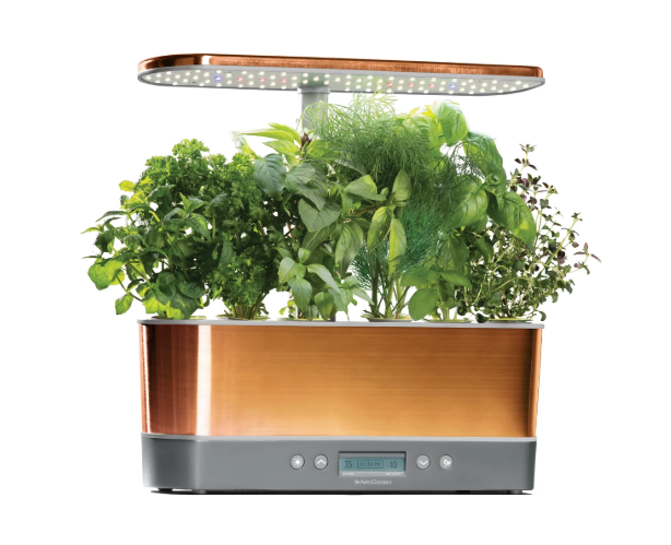 Indoor Herb Garden Kits To Grow At Home In Apartments - Indoor Herb Garden Kit Bed Bath And Beyond Indoor Herb Garden Kits To Grow At Home In Apartments - Indoor Herb Garden Kit Bed Bath And Beyond