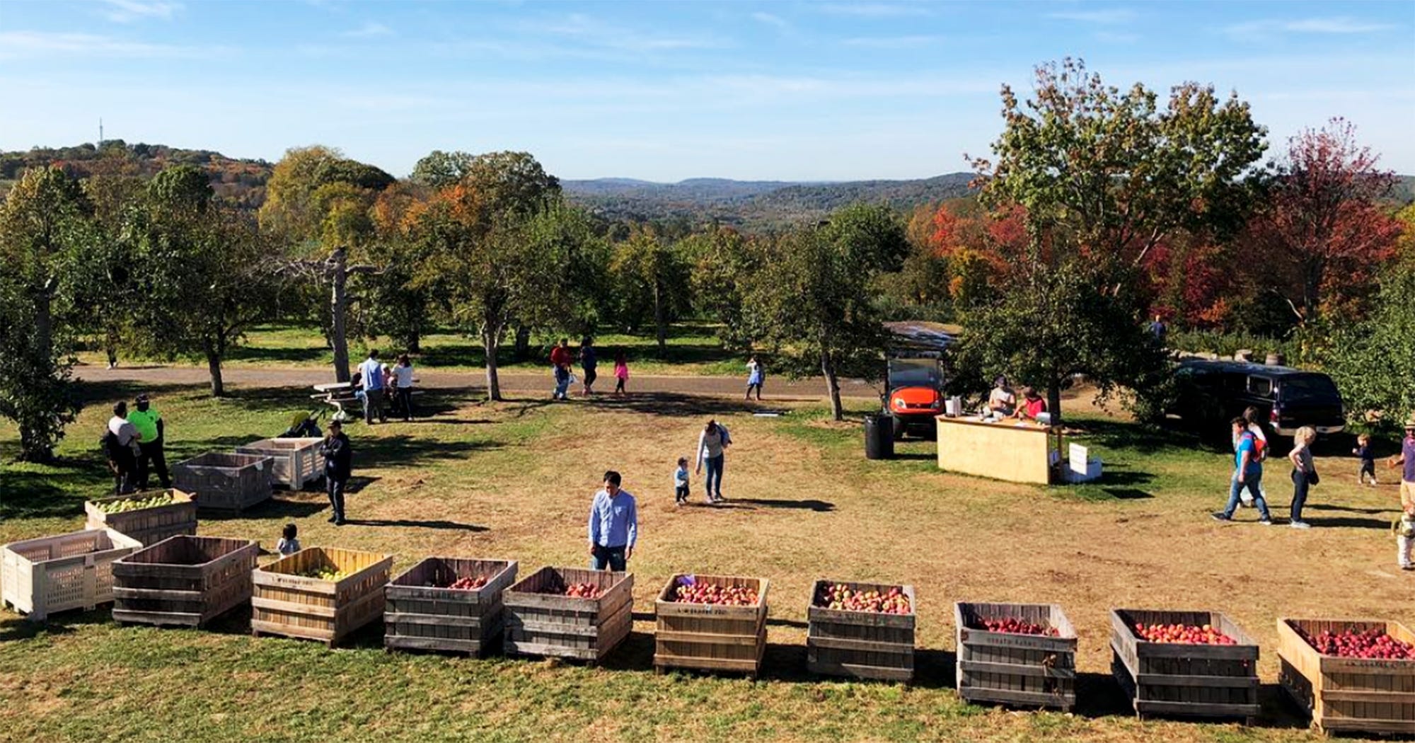 Apple Picking Near NYC Best New York Orchards 2018