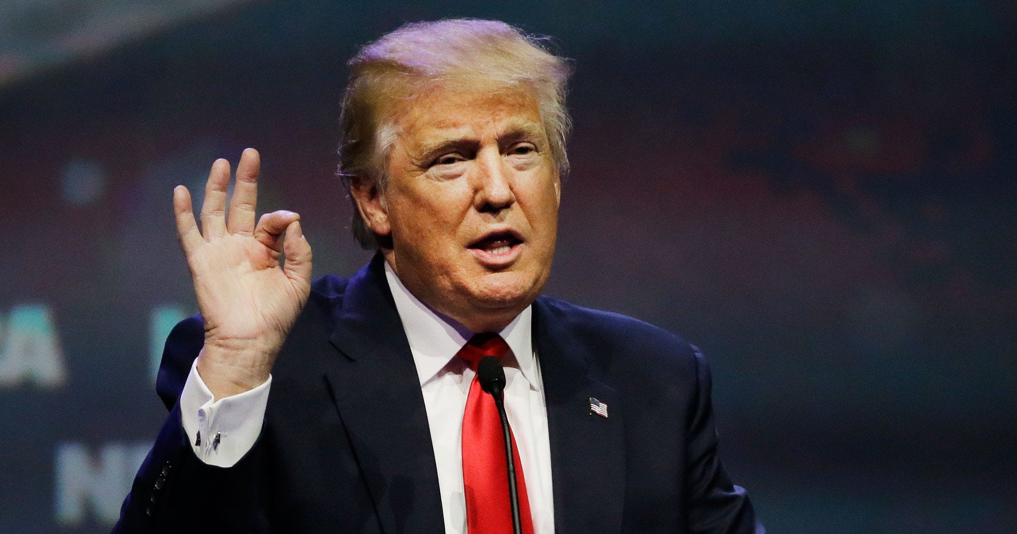 Donald trump stance on gun rights right to bear arms